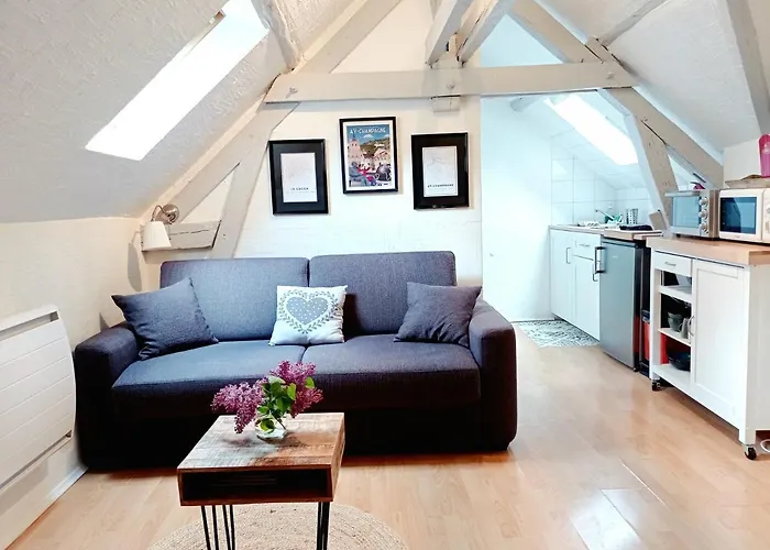 Le Cocon Appartement Proche Epernay Et Maisons De Champagne