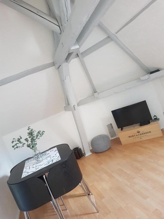 Le Cocon Proche Epernay Et Maisons De Champagne Appartement