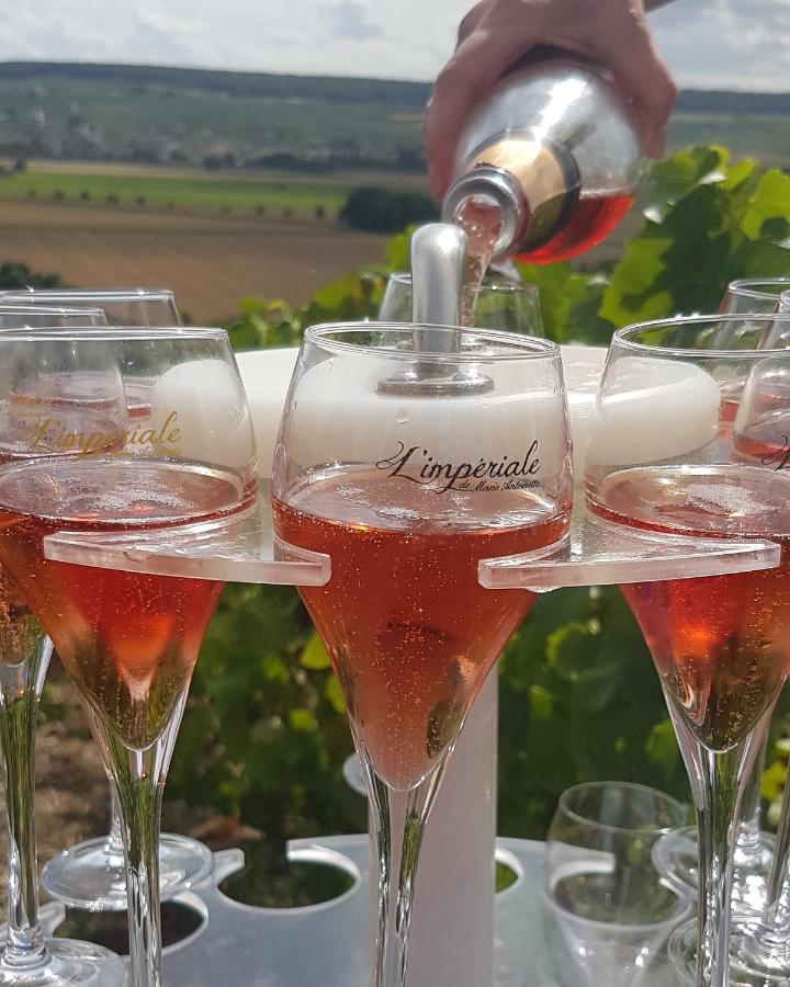 Le Cocon Proche Epernay Et Maisons De Champagne * Ay-Champagne