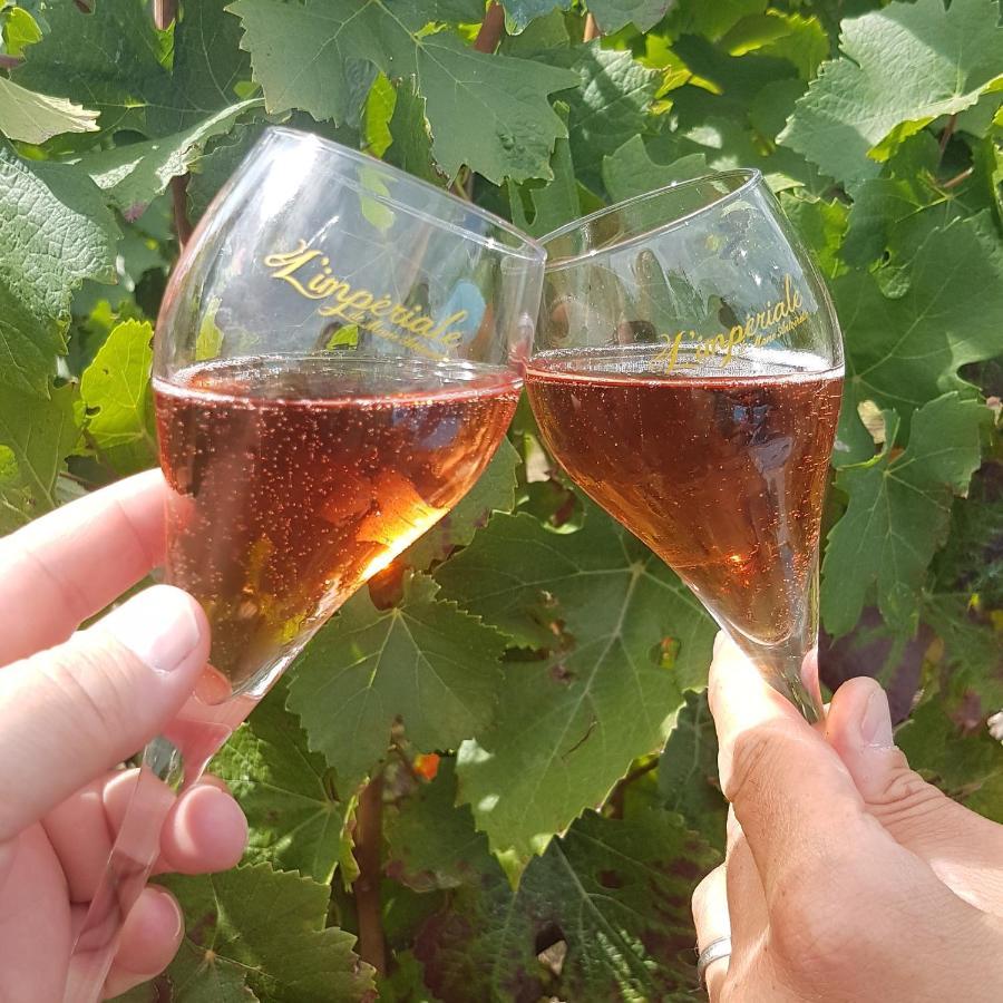 Le Cocon Proche Epernay Et Maisons De Champagne *