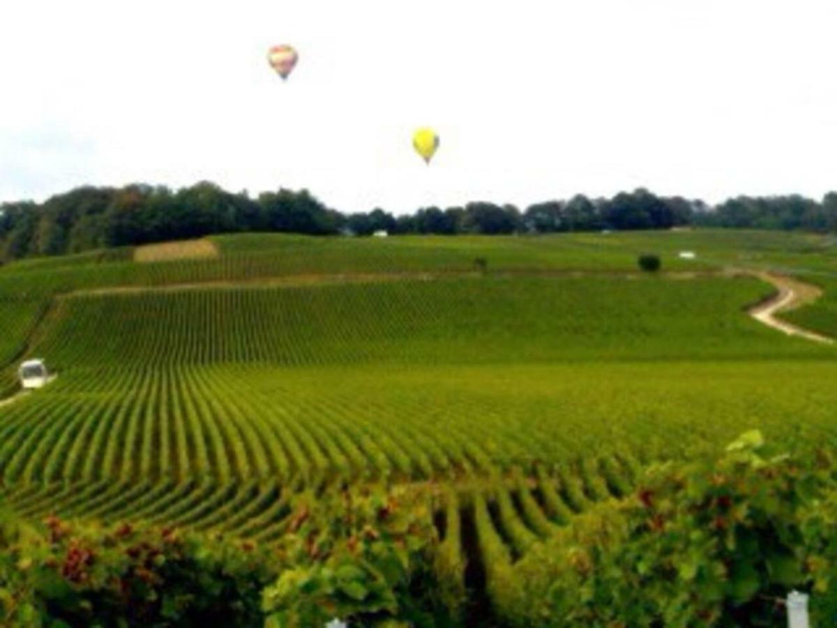 Le Cocon Proche Epernay Et Maisons De Champagne Ay-Champagne